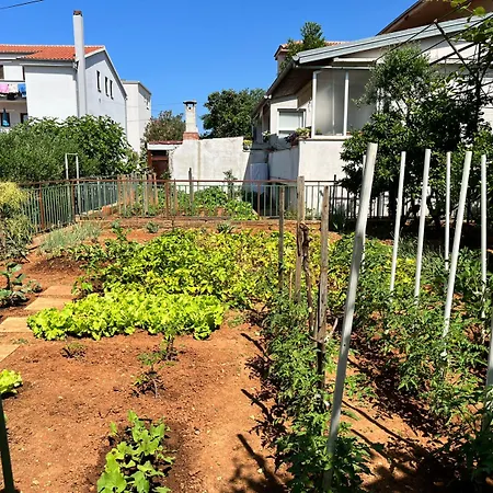 아파트 Joso 자다르